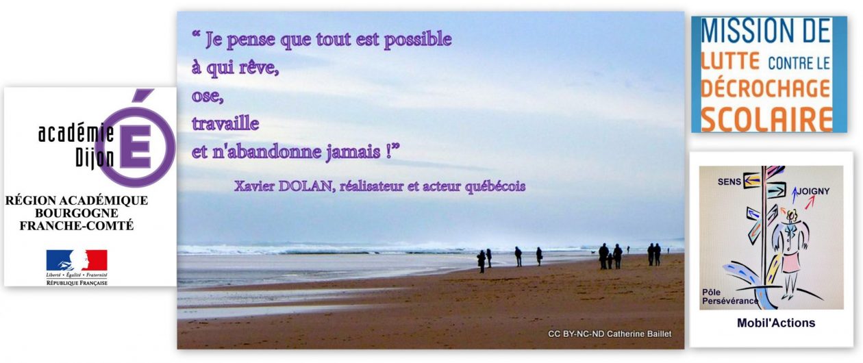 Pôle perseverance MLDS des lycées de sens (Yonne)