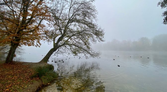 Sortie au Parc de la Ballastière