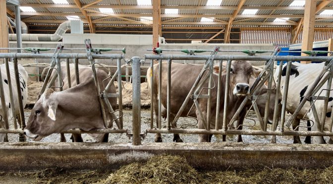 A la rencontre des lycées agricoles de l’Yonne